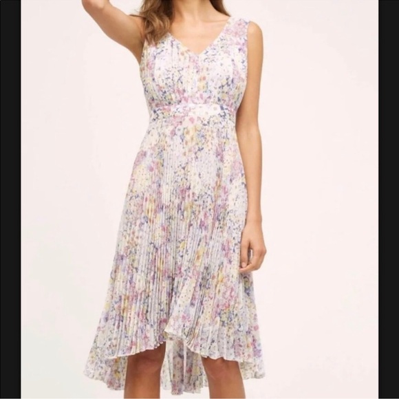 Plenty by Tracy Reese Dresses & Skirts - Plenty By Tracy Reese ‘Evanthe’ Floral accordian Pleated Midi Dress Size 4
